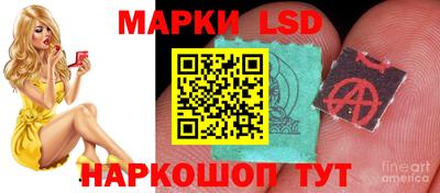 скорость mdpv Новодвинск