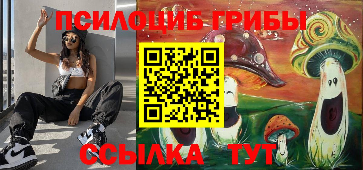 Спасск-Дальний  Псилоцибиновые грибы MAGIC MUSHROOMS  где купить наркоту  Вход с VPN  Галлюциногенные грибы мицелий 